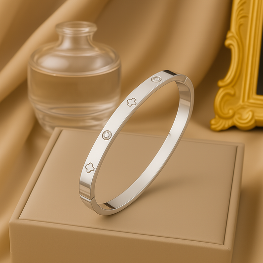 Tina Titanium Steel Plated Bangles (non Tarnish)